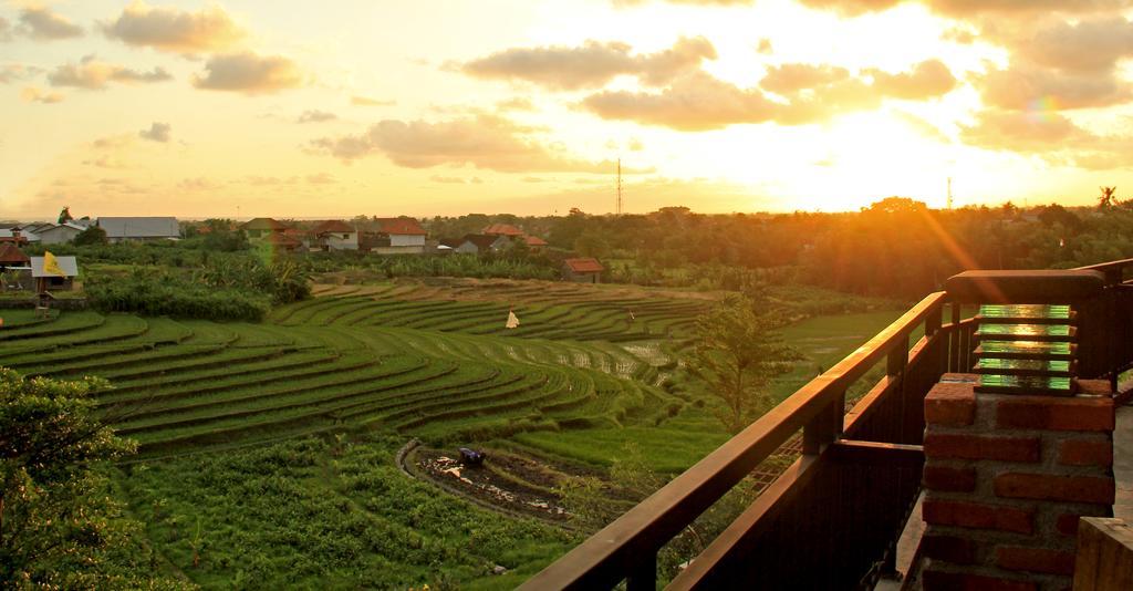 Grandpa Guest House Canggu Dış mekan fotoğraf