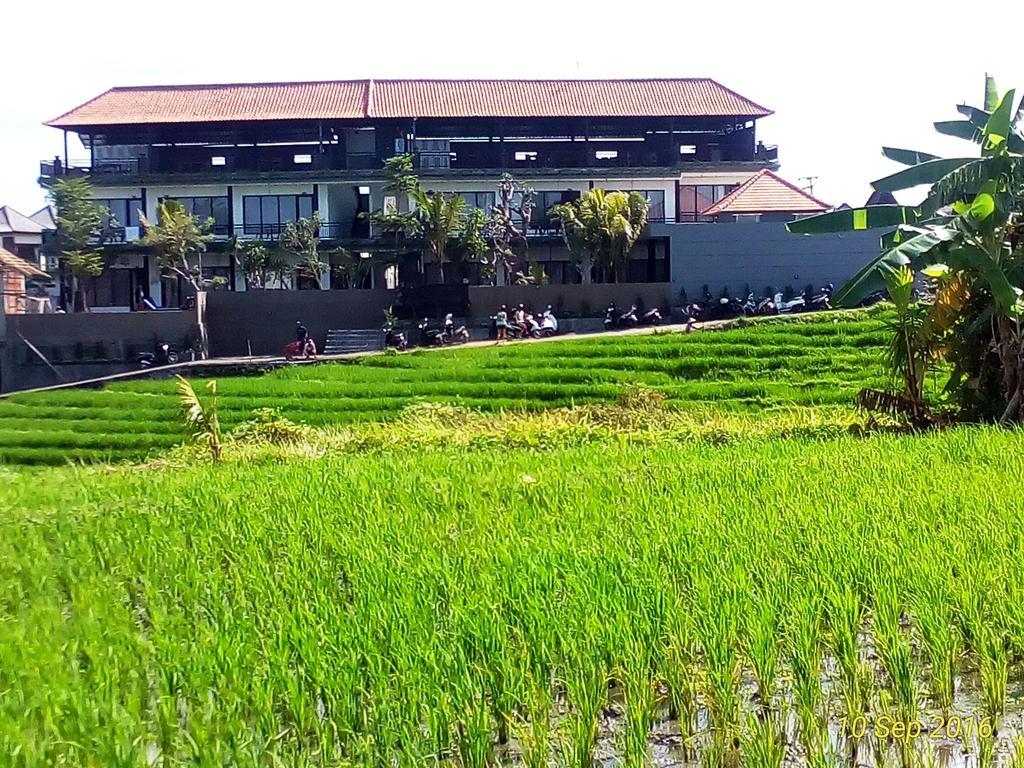 Grandpa Guest House Canggu Dış mekan fotoğraf