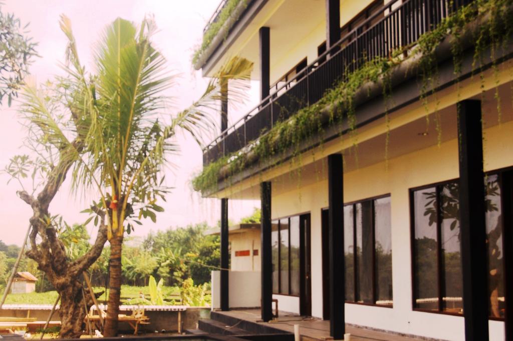 Grandpa Guest House Canggu Dış mekan fotoğraf