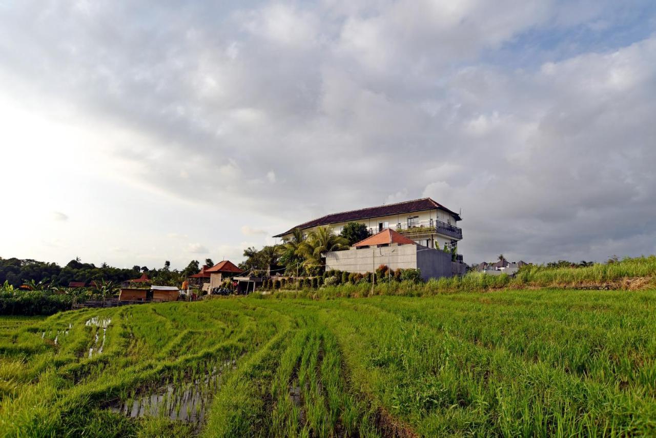 Grandpa Guest House Canggu Dış mekan fotoğraf
