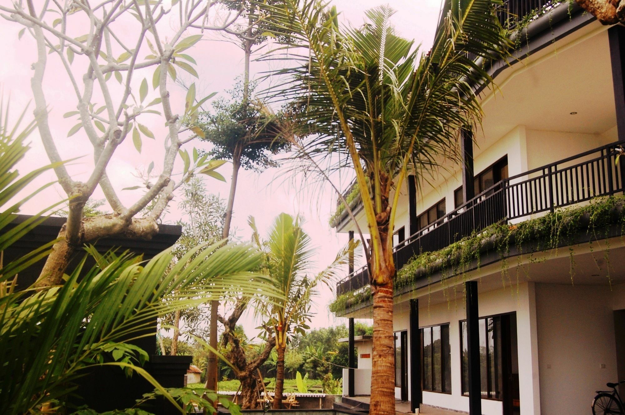 Grandpa Guest House Canggu Dış mekan fotoğraf