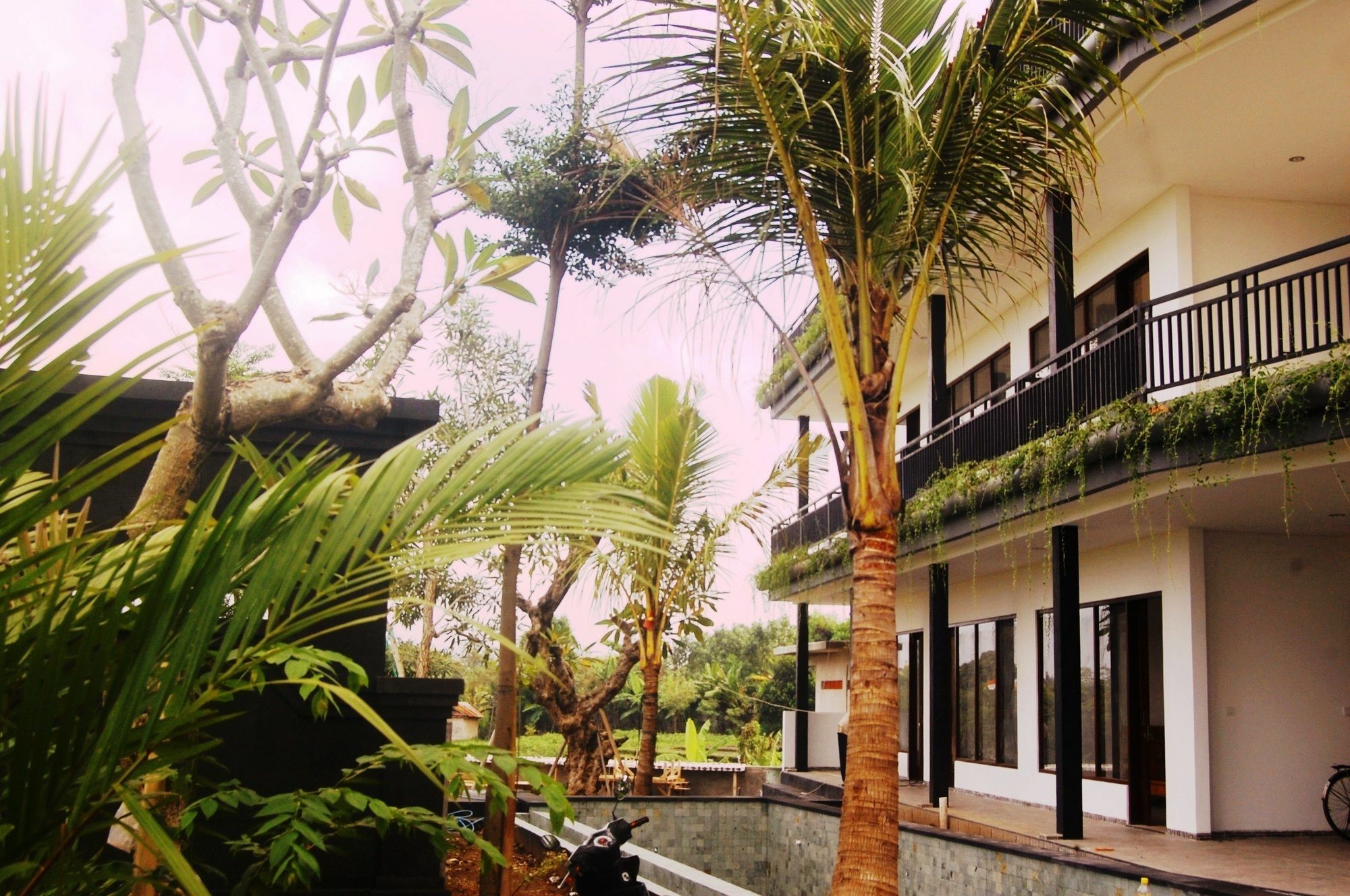 Grandpa Guest House Canggu Dış mekan fotoğraf